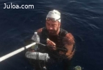 Stefano Plenario