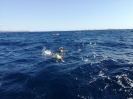 Traversata 29 settembre 2019-10