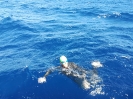 Traversata 29 settembre 2019-25