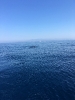 Giuseppe Montesanti traversata-8
